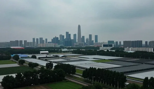 系统兼容性问题如何影响成果转化?